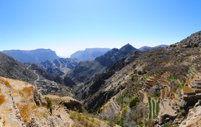 Mystical Muscat